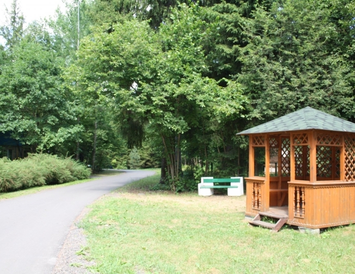 Услуги и развлечения - Санаторий «Звенигород Первого МГМУ им. И.М. Сеченова» Введенское