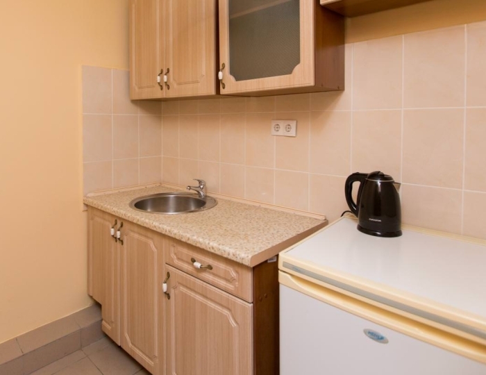 Люкс - Санаторий «Звенигород Первого МГМУ им. И.М. Сеченова» Введенское